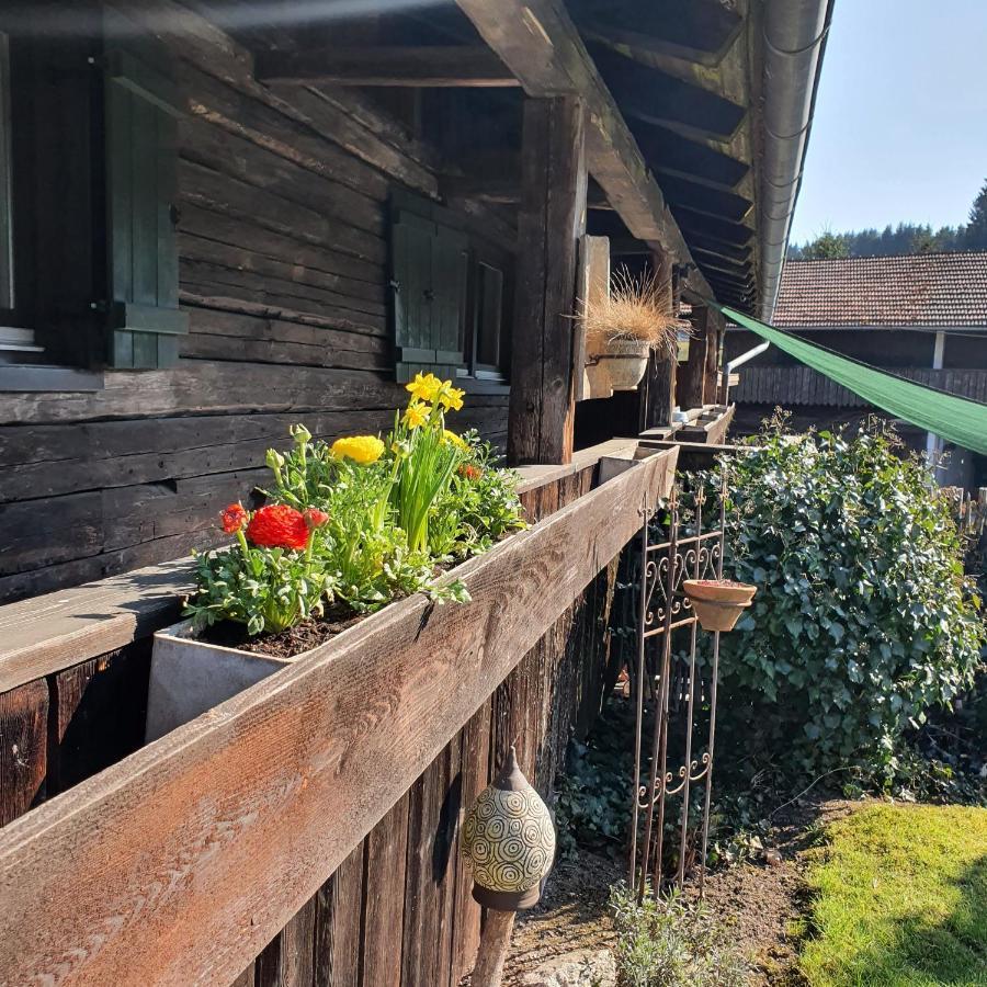 Naturidyll Kollnbergmuehle Furstenstein Ngoại thất bức ảnh