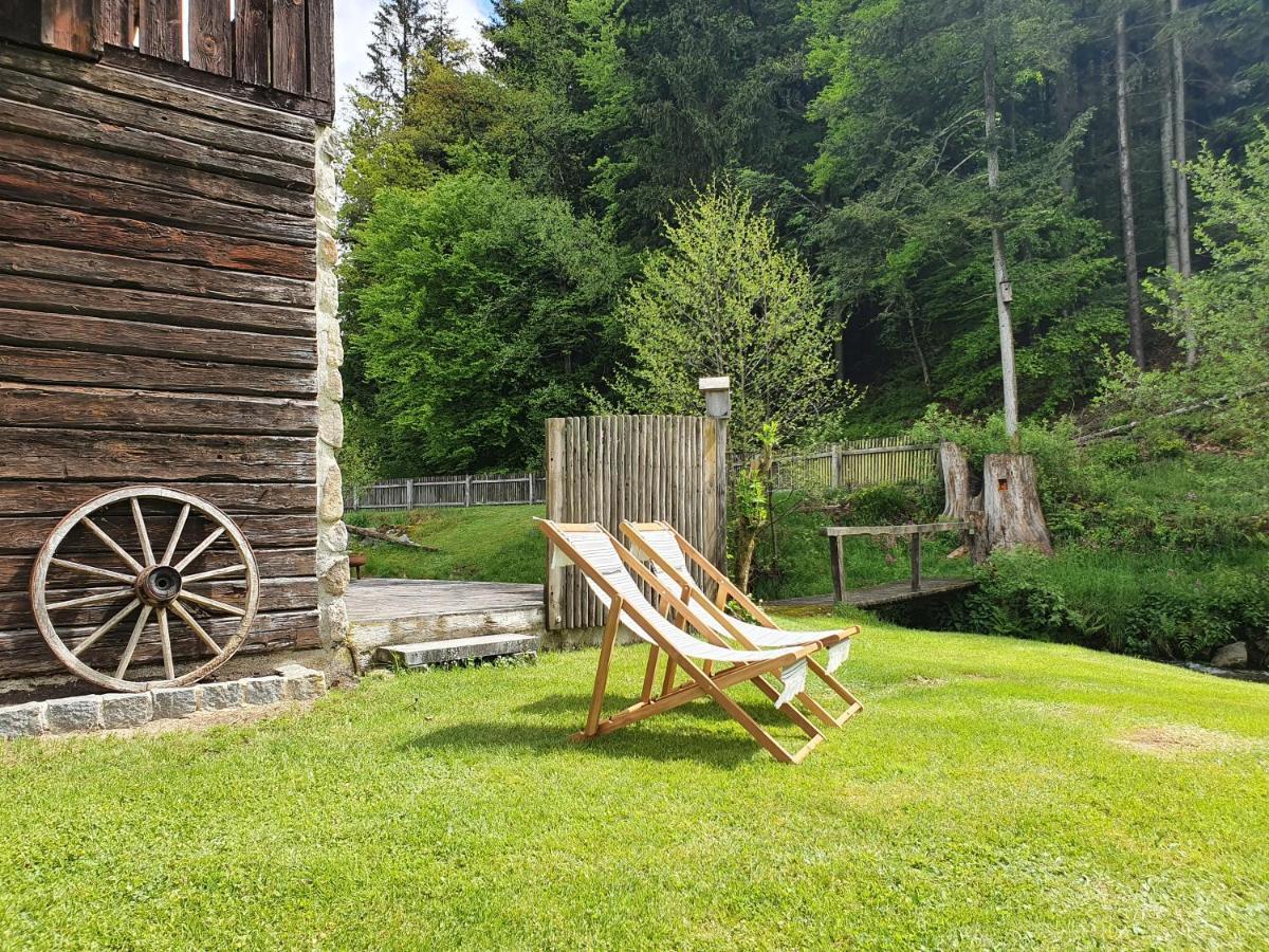 Naturidyll Kollnbergmuehle Furstenstein Ngoại thất bức ảnh