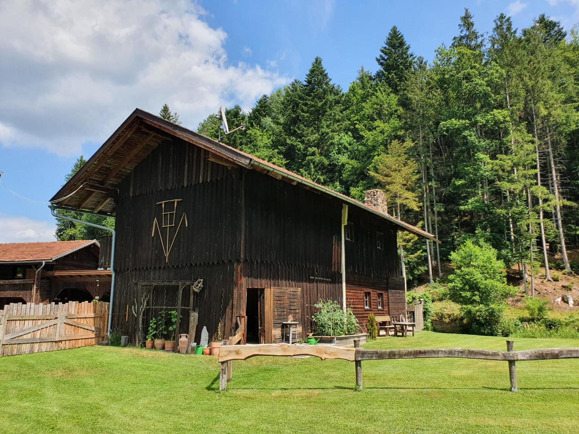 Naturidyll Kollnbergmuehle Furstenstein Ngoại thất bức ảnh